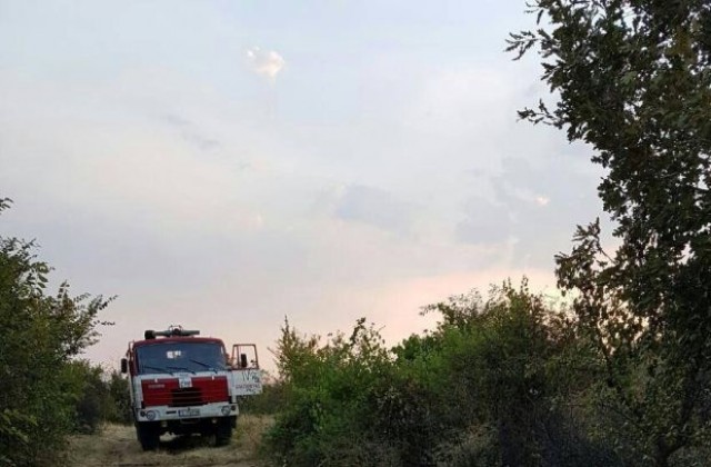 Потушиха пожара край Бучино
