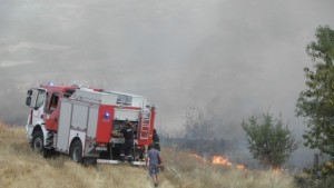 22 пожара за 3 дни в Силистренско изгорели са 40