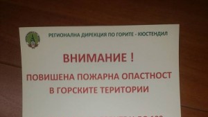 Пожари от небрежност унищожили 137 дка гори