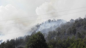 Пожар вдигна на крак служители на 3 горски стопанства