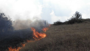 Над 200 горски пожара само от началото на годината изгорели