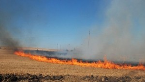 Червен код за опасност от пожари в Хасковско