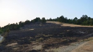 Петима пожарникари и местни доброволци изгасиха пожара в землището на