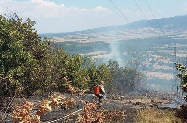 Бедствено положение в село Черна могила заради пожар, няма риск за хората