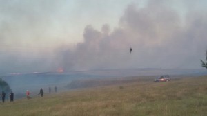 Овладяха пожара в Тополовградско