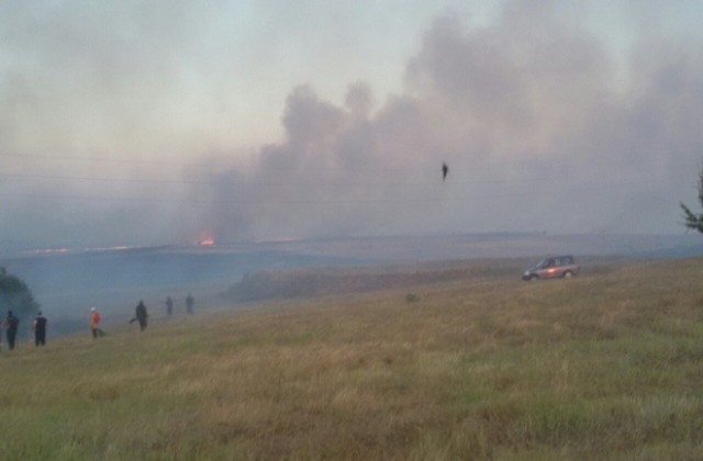Овладяха пожара в Тополовградско