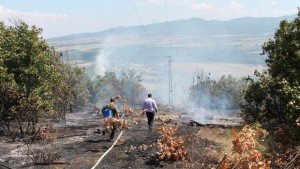 Изгоряха 28 декара гора в община Дулово