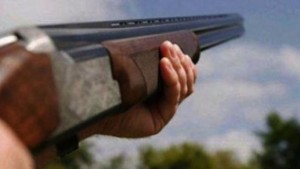 Убитите във Великово кучета са били малки скимтели и дразнели