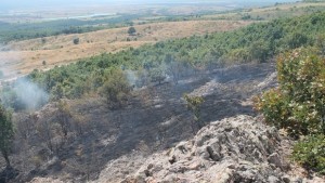 Сериозен пожар край свиленградските села Лисово и Левка