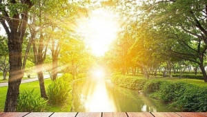 Времето на 5 август Слънчево и топло