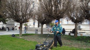 Паркстрой ще почиства паметниците на изходите на Плевен