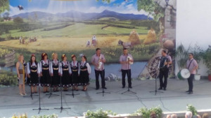 Откриха шестото издание на Фолклорен извор в село Царевец