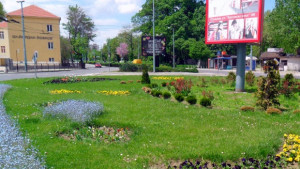Затварят кръговото при бул Дунав 1 9 15 и 25