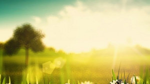 Времето на 7 август Предимно слънчево и топло