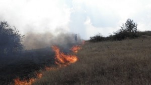 Предупреждават за горещо време и завишена опасност от пожари