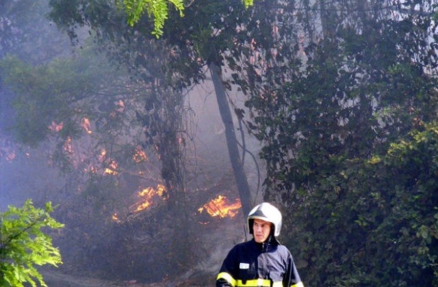 Заради опасността от горски пожари всички екипи са в готовност