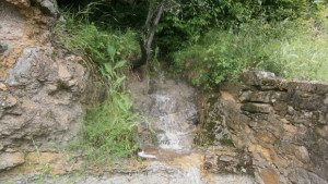 29 градуса ще бъдат максималните температури в област Габрово на