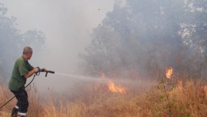 Овладяха пожар край Извора на Белоногата Изгоря кола в Хасково