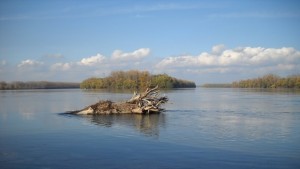 Млад мъж се удави в Дунава