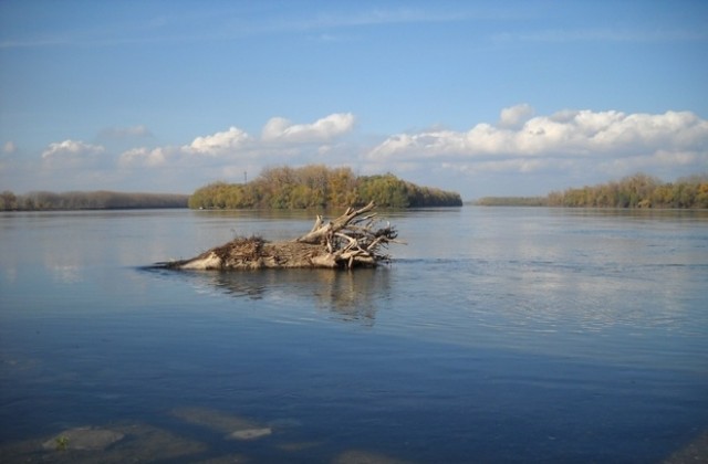 Млад мъж се удави в Дунава