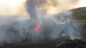 300 декара лозя фураж и контейнери за смет изгоряха при