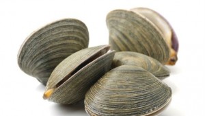 Бялата мида все потърсена на пазара у нас