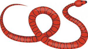 Защо змиите са толкова дълги