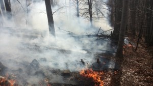 Почти всеки ден в региона избухва пожар в сухи треви