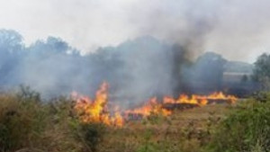 205 пожара са гасили местните огнеборци само за седмица