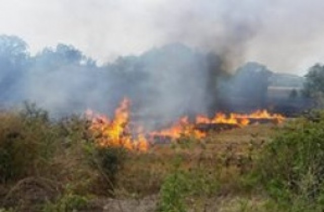 205 пожара са гасили местните огнеборци само за седмица