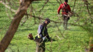За втори път ще пръскат срещу кърлежи