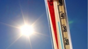 Отново жълт код за опасни жеги в област Хасково
