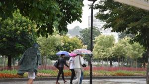 До 20 метра в секунда достигна скоростта на вятъра в