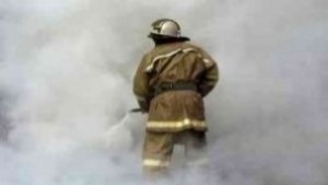 Спасиха 800 дка лозя при пожар