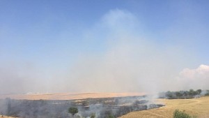 Пет часа гасиха голям пожар край Севар после пламна пак