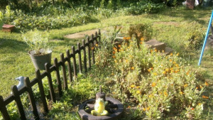 На 13 август облачността ще бъде променлива