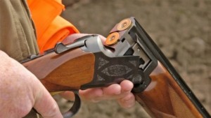 Убитото в село Поповци куче е било застреляно за забавление