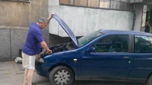 Коте като по чудо оцеля след цял ден возене под