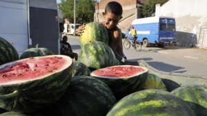 13килограмова диня стана първенец на Празника на динята в Салманово