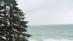 Обявени са защитени зони АхелойРавдаНесебър и Река Янтра