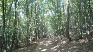 Прогноза за понеделник 15 август