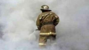 Спасиха 2 дка лозя при пожар