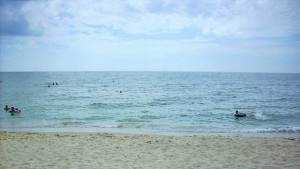 Младежи обраха хладилни витрини в Албена