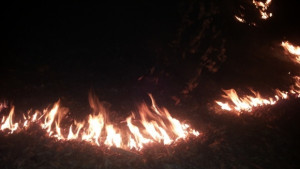 Пожари вилняха в сухи треви и храсти на територията на