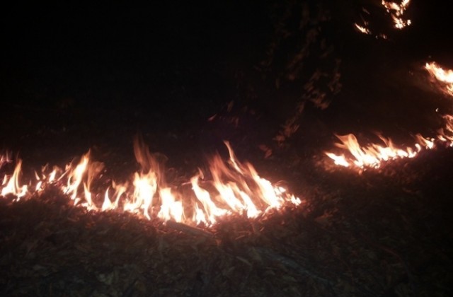 Пожари вилняха в сухи треви и храсти на територията на цялата Габровска област
