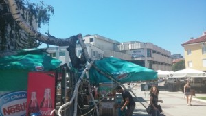 Клон от бреза падна върху един от преместваемите обекти в