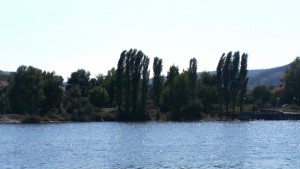 Мъртва кая изплува в Белославското езеро