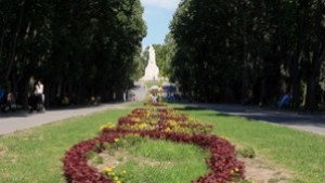 Тайната градина и тази вечер оживява на Алпинеума