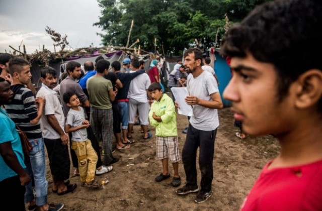 Хиляди иракски мигранти се прибрали в родината си, разочаровани от Европа