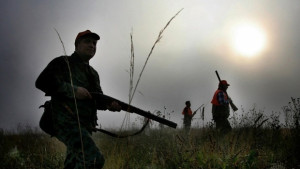 Отчитат ръст на популацията на дива свиня